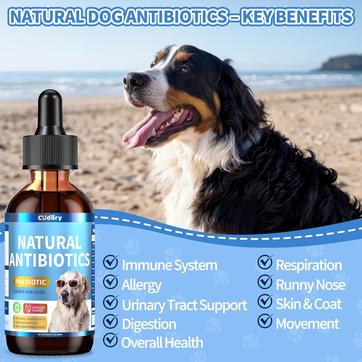 Natural Antibiotics for Dogs, Herbal Dog Antibiotics Supplement with Prebiotics for Dog Allergy