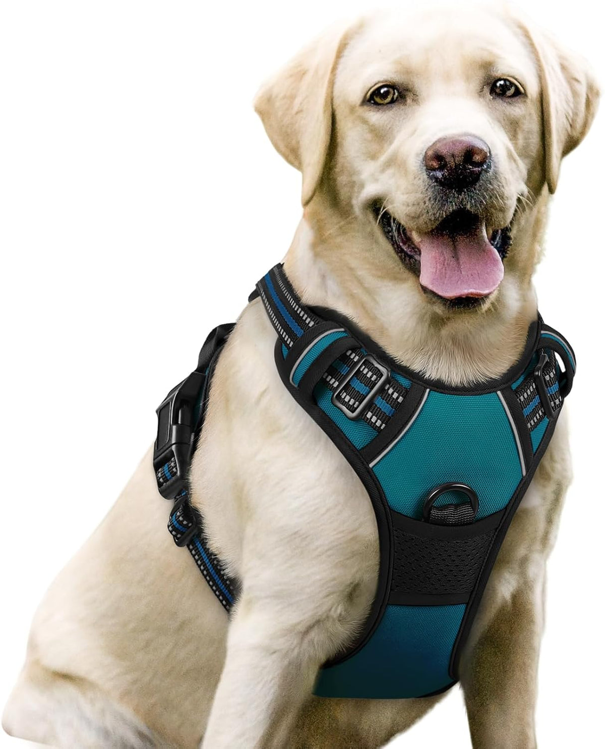 rabbitgoo Dog Harness No Pull with 2 Leash Clips, Adjustable Soft Padded, Reflective Oxford No