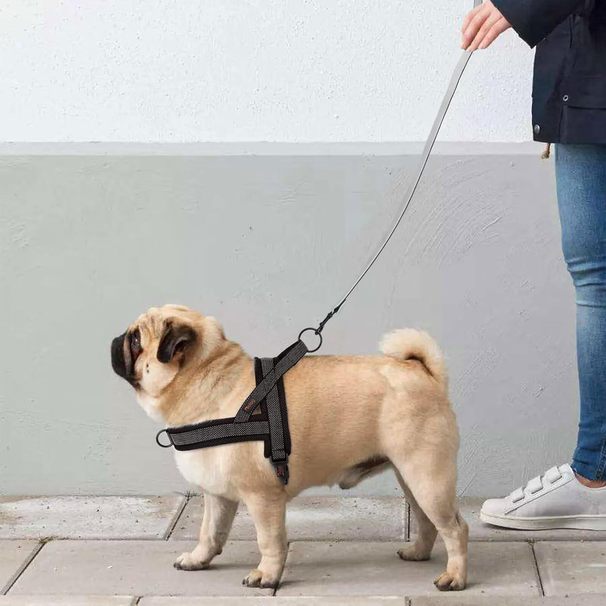 Didog No Pull Dog Harness with Breathable Mesh Padded, Full Reflective & Quick Fit Adjustable Vest