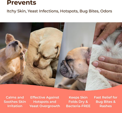 COAT DEFENSE Preventative Powder | Made in USA | 3.5oz Waterless Dog Shampoo & Pet Deodorizer for