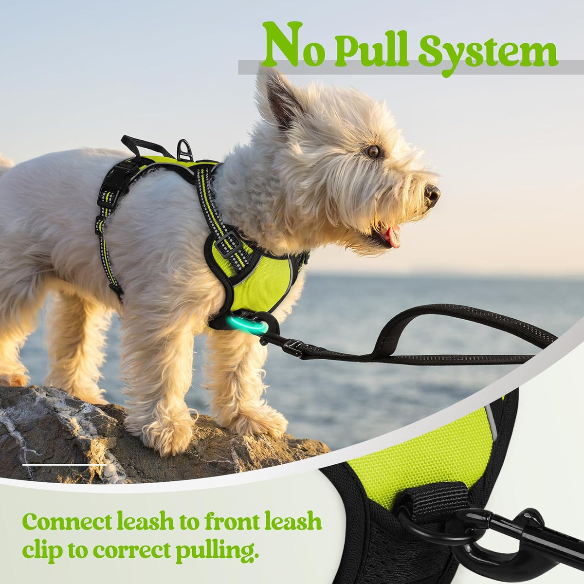rabbitgoo Dog Harness No Pull with 2 Leash Clips, Adjustable Soft Padded, Reflective Oxford No