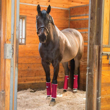 Dura-Tech Standing Wraps for Horses | Color Burgundy | Optimal Comfort & Support | Ideal for