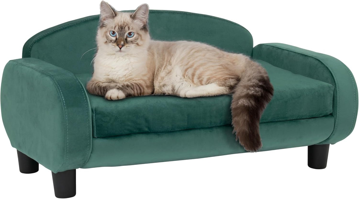Paws & Purrs Cat Sofa Bed, Pet Couch for Indoor Cats Elevated Cat Beds with Removable Washable
