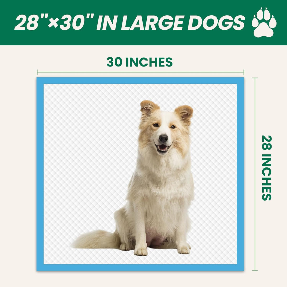 100 Count Large Dog & Cat Puppy Pee Pads - 28"x30" Absorbent Potty Training Pads | Leakproof