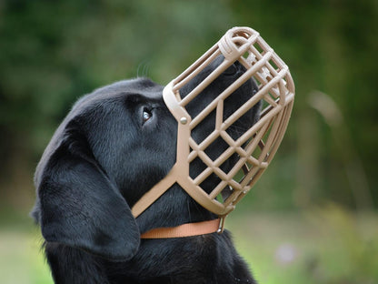 Leather Brothers Italian Basket Dog Muzzle, Adjustable Secure Fit, Comfortable Design, Training and