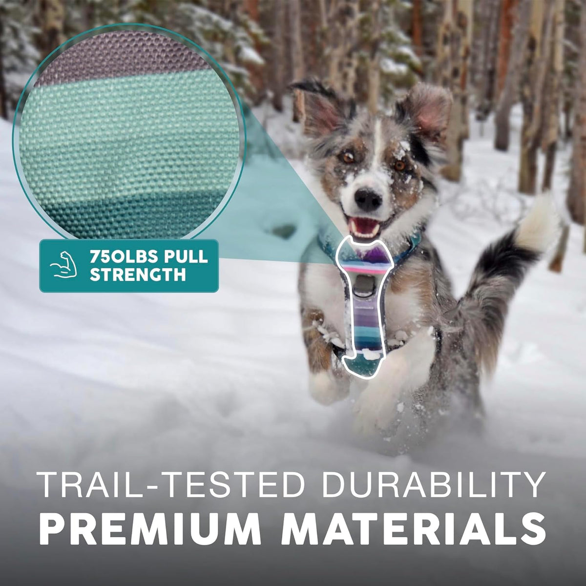 Embark Adventure Dog Harness, Reflective Trim XL Dog Harness for Extra Large Dogs No Pull