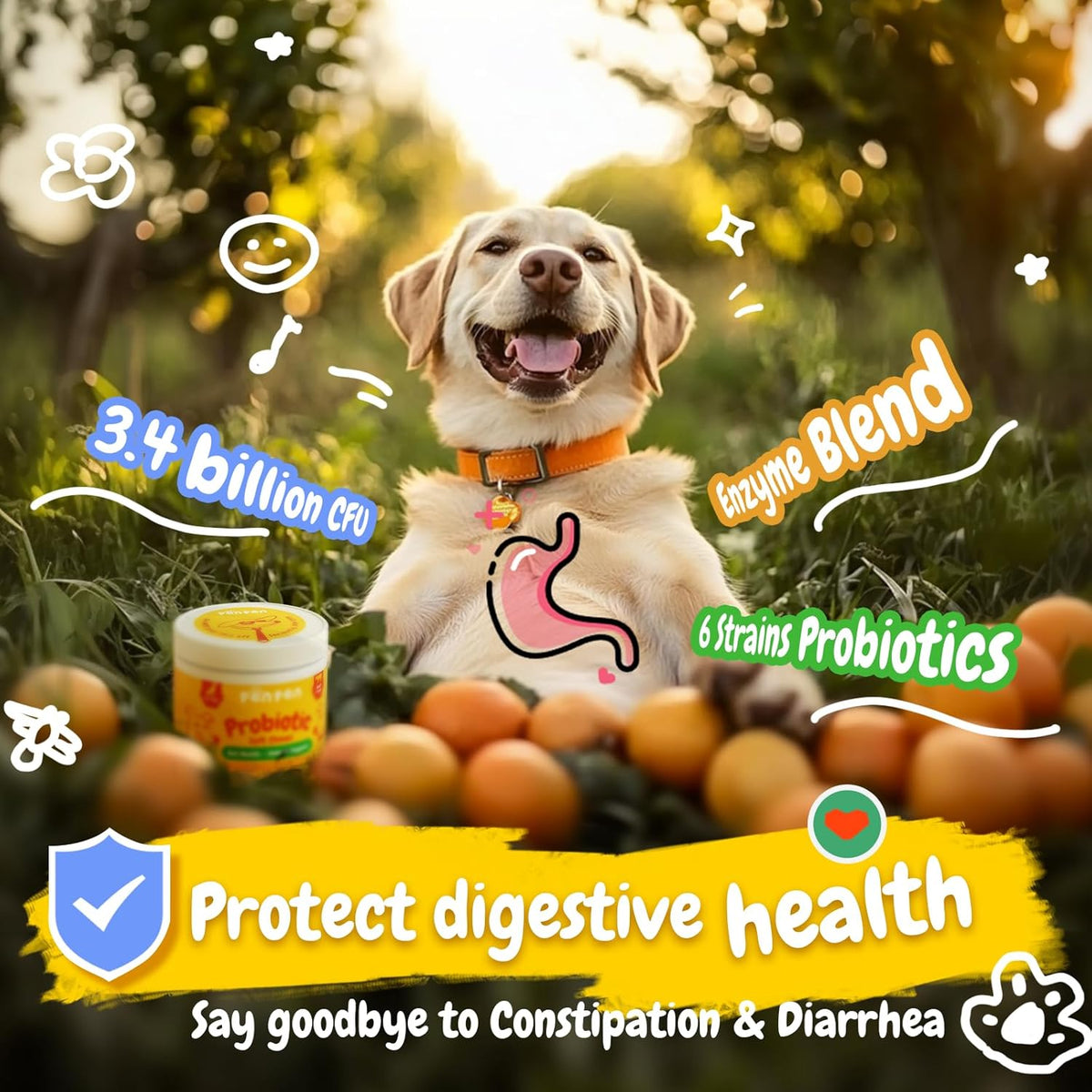 Penpen Probiotics for Dogs, Dogs Probiotics for Digestive Health, Multi-Probiotic and Enzyme Blend