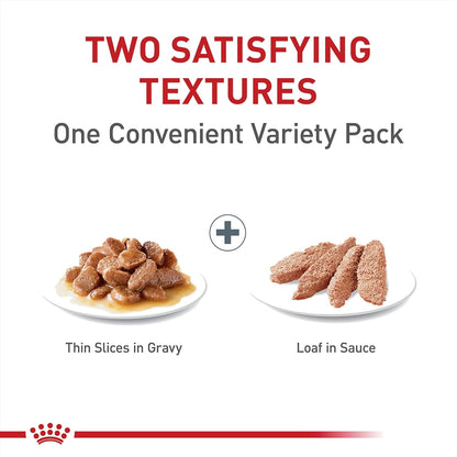Royal Canin Feline Care Nutrition Digestive Care Wet Cat Food Variety Pack, 12 Pack, 2 Varieties, 3
