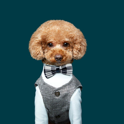10 PCS Dogs Collar Elastic Attachment Bow Ties for Small Medium Large Pet/Cats Puppies Collar