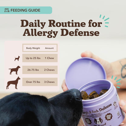 Natural Dog Company Allergy & Itch Defense Chews – Allergy Support for Dogs, Itch Relief, Skin