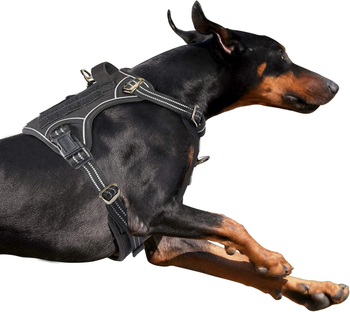 BUMBIN Tactical Dog Harness for Large Dogs No Pull, Famous TIK Tok No Pull Dog Harness, Fit Smart