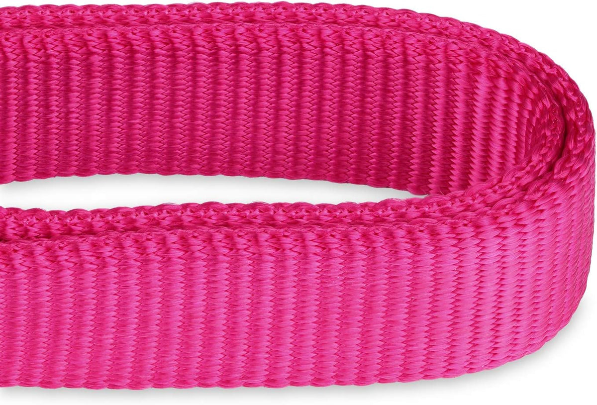 Hyhug Martingale Dog Collar Without Buckle: Anti Escape, No Slip Heavy - Duty Nylon, Colorfast &