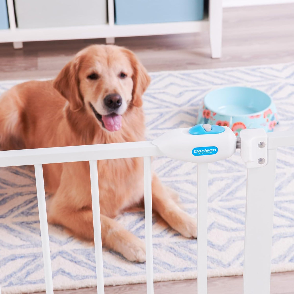Carlson Extra Wide Walk Through Pet Gate with Small Pet Door, Includes 4-Inch Extension Kit