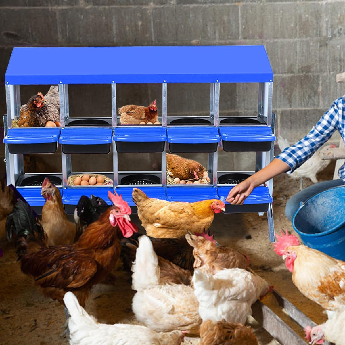 Chicken Nesting Boxes, 10 Hole Metal Chicken Laying Box with with Removable Trays and Roll Out Egg