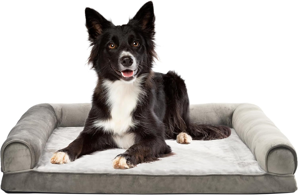 Amazon Basics Dog Bed with Cooling Gel Memory Foam, Pressure-Relief Support for Dogs up to 55lbs