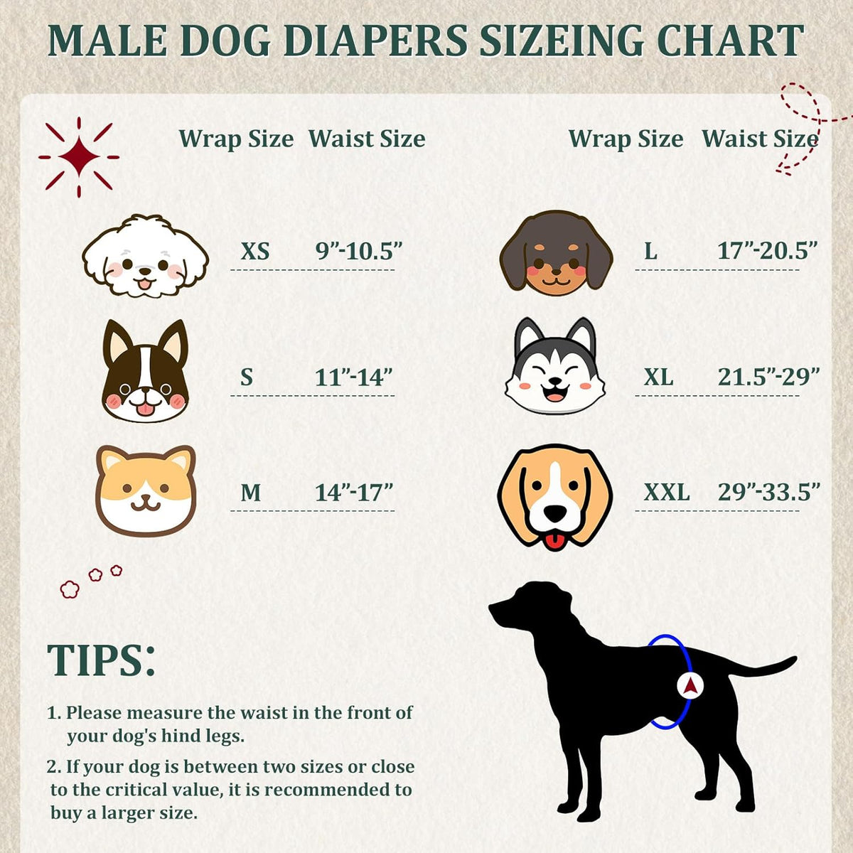 Reusable Dog Diapers Male, Premium Washable Belly Bands for Dogs Medium, Pack of 5, High Absorbing