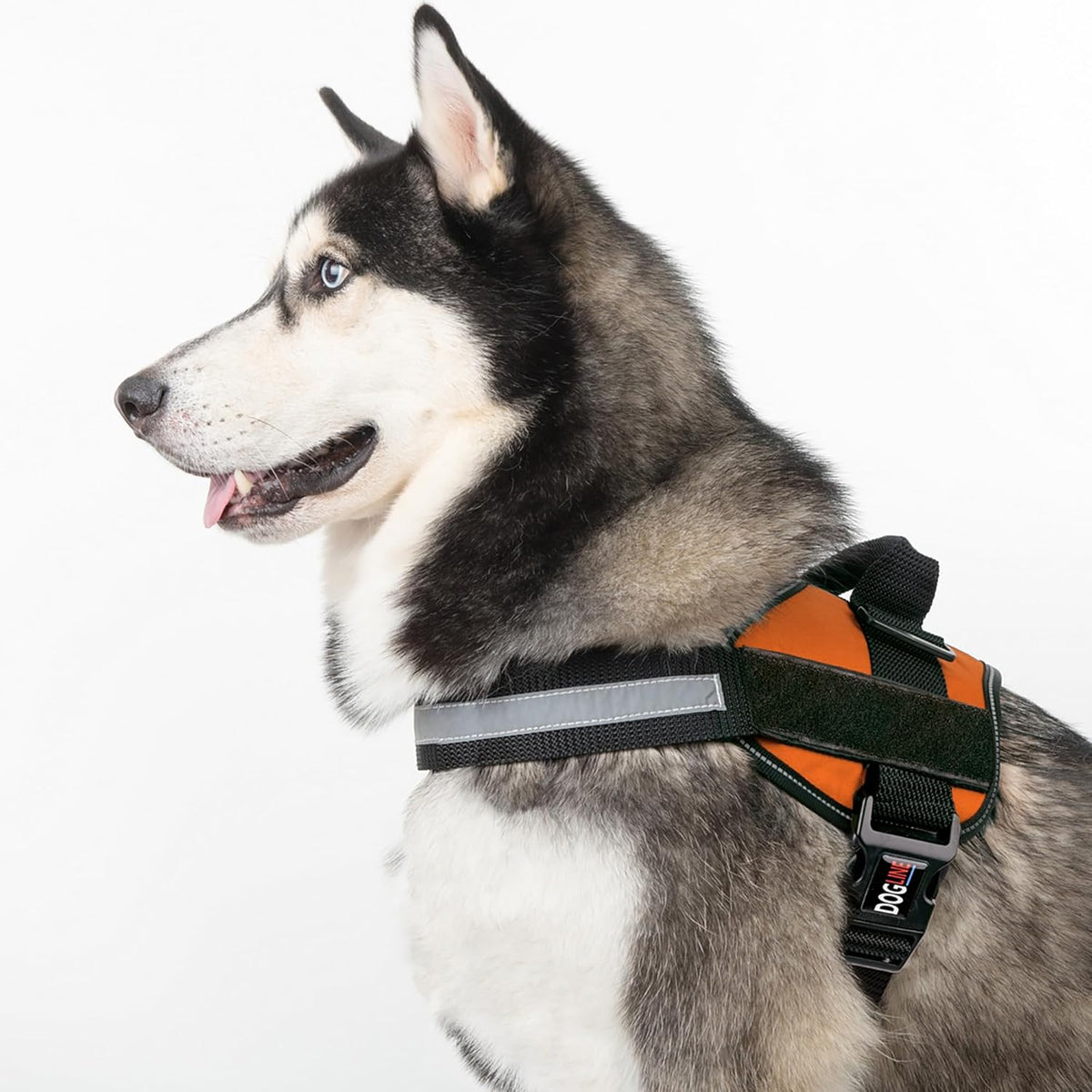 Dogline Dog Harness, Reflective No-Pull Adjustable Vest with Handle for Walking, Training