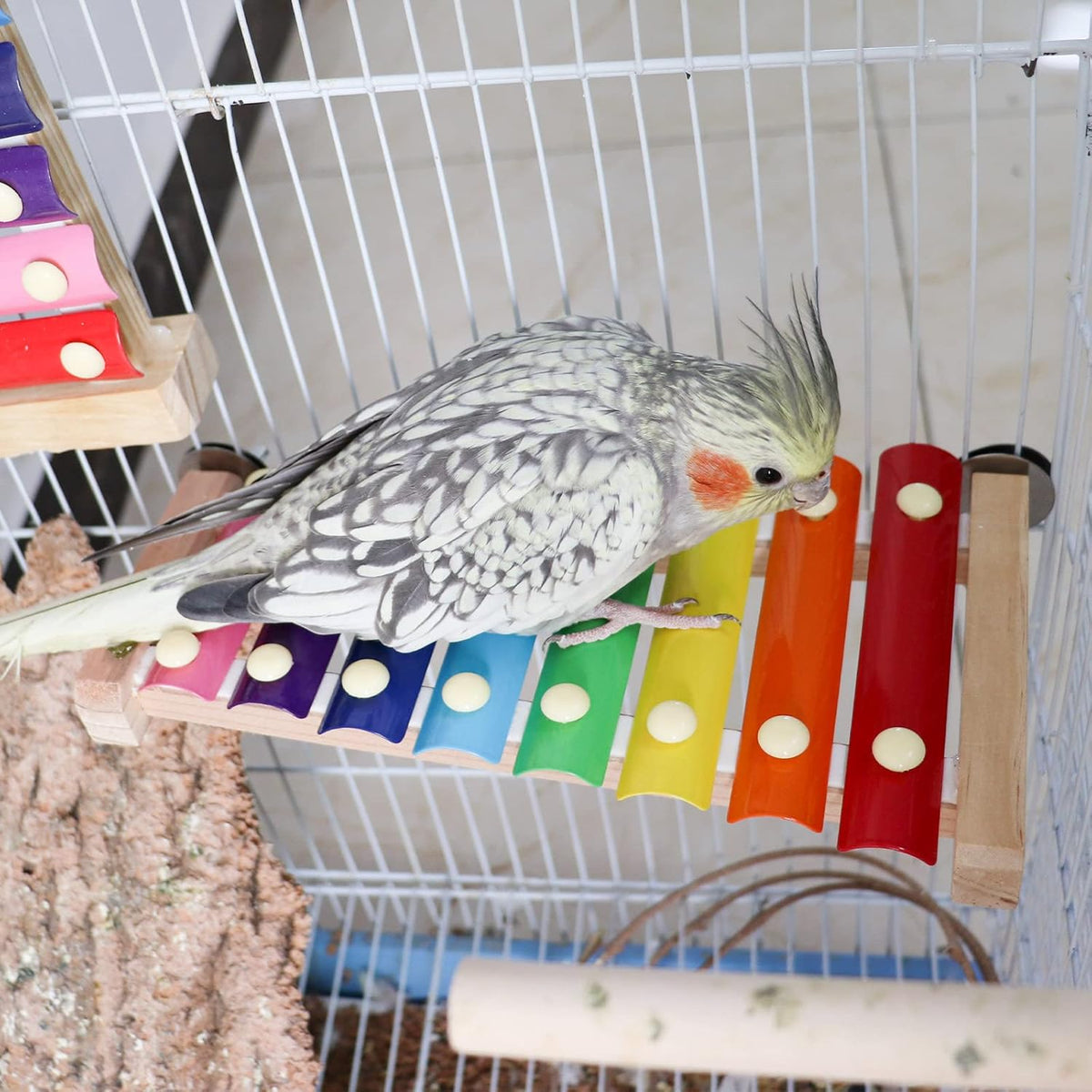 Dnoifne Colorful Xylophone, Funny Xylophone with 8 Metal Keys, Cage Toy Accessories for Parrot
