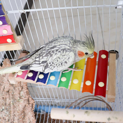 Dnoifne Colorful Xylophone, Funny Xylophone with 8 Metal Keys, Cage Toy Accessories for Parrot