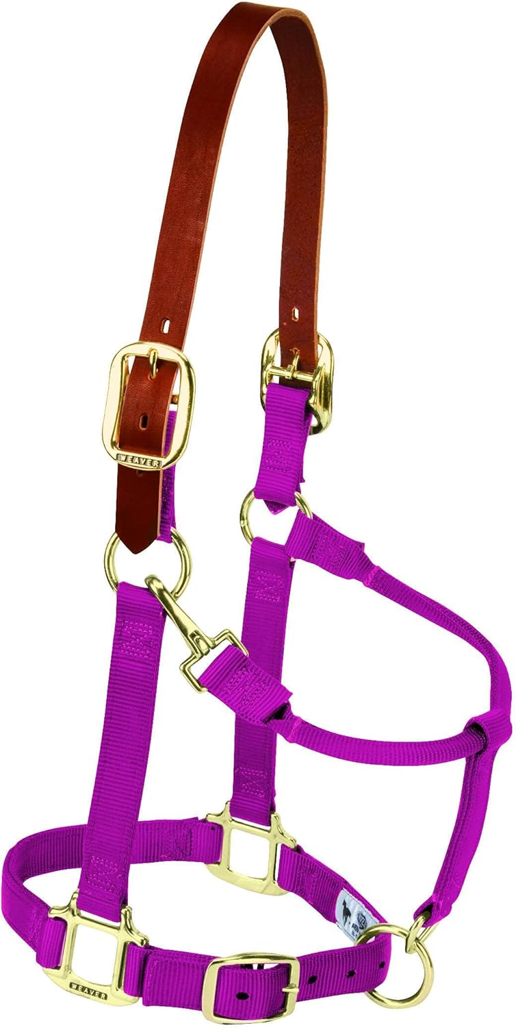 Weaver Equine Breakaway Horse Halter, Supple Leather Crown, Adjustable Chin & Throat Snap Halters
