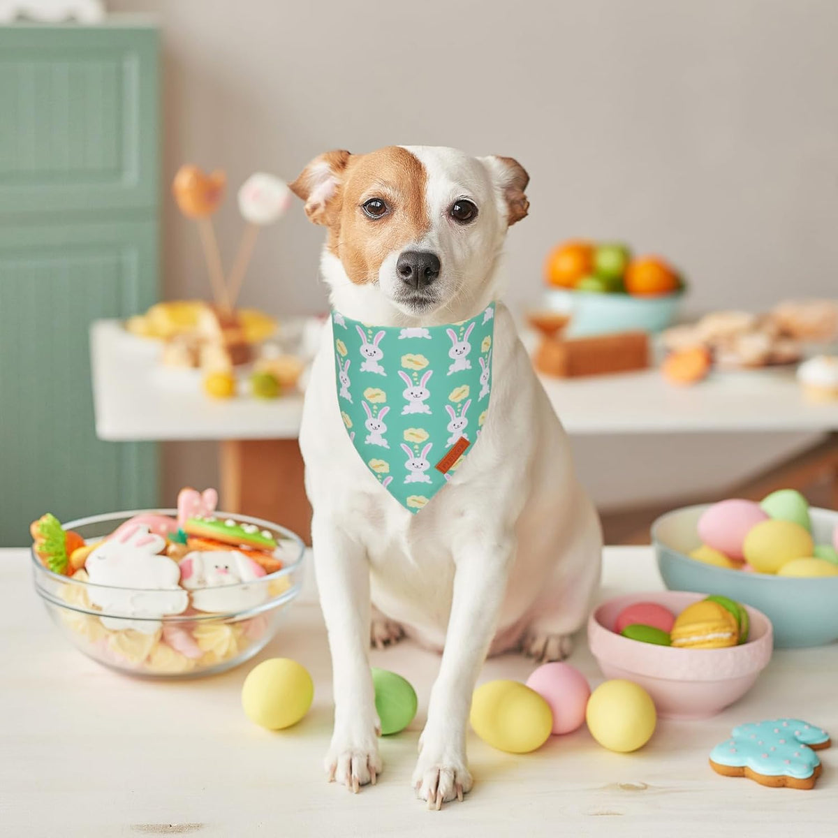PTDECOR Easter Dog Bandana, Green and Yellow Rabbit Carrot Reversible Holiday Dog Scarf, Multi