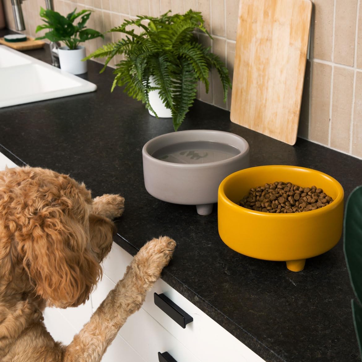Waggo Uplift Ceramic Dog Bowl for Small Medium and Large Breeds - Heavyweight and Durable Pet Food