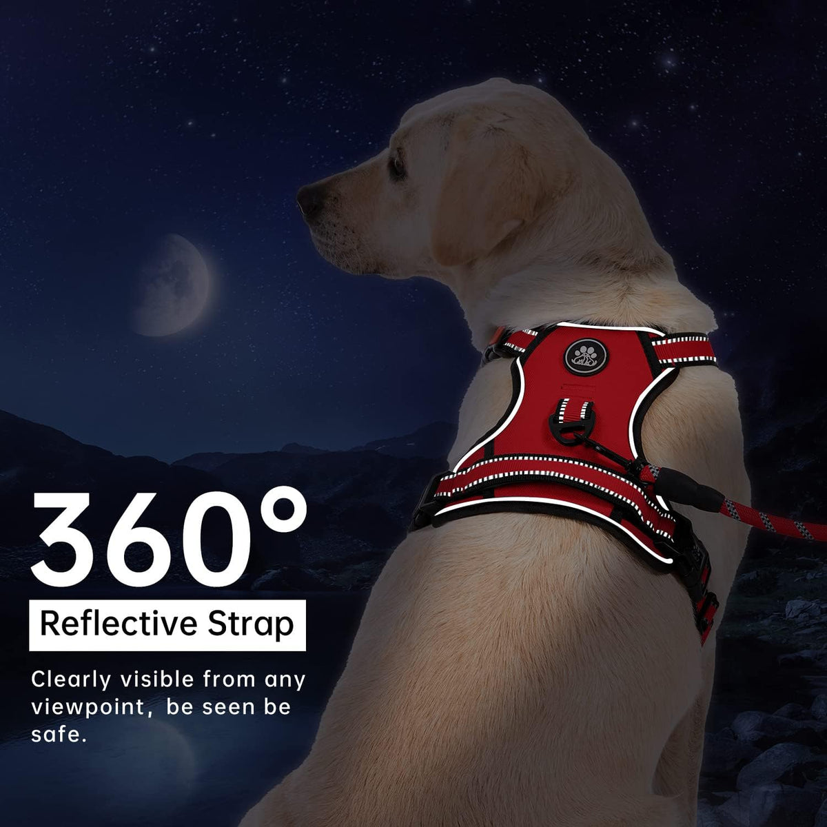 IVY&LANE No Pull Dog Harness for Large Dogs, Dog Vest Harness with Leash, Safety Belt and Storage