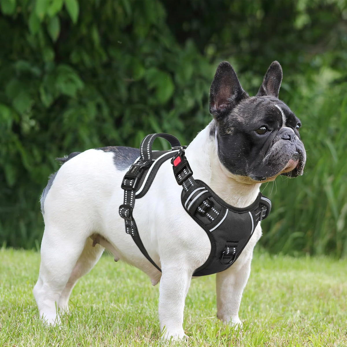 Timos Dog Harness, 3 Snap Buckles No-Pull Soft Padded Dog Vest with 2 Metal Leash Clips, Adjustable