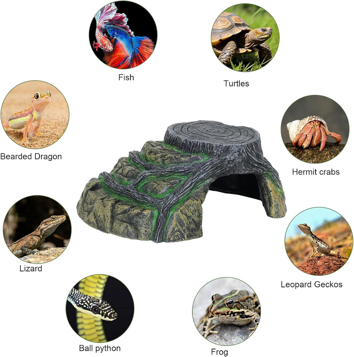 Gecko Tank Accessories, Tortoise Habitat Accessories, Ball Python Tank Accessories, Large Snake