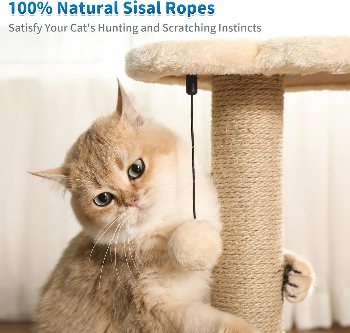 Made4Pets Cat Scratching Post, Cat Self Groomer for Indoor Cats, Cloud Soft Perch for Rest, 17.5"