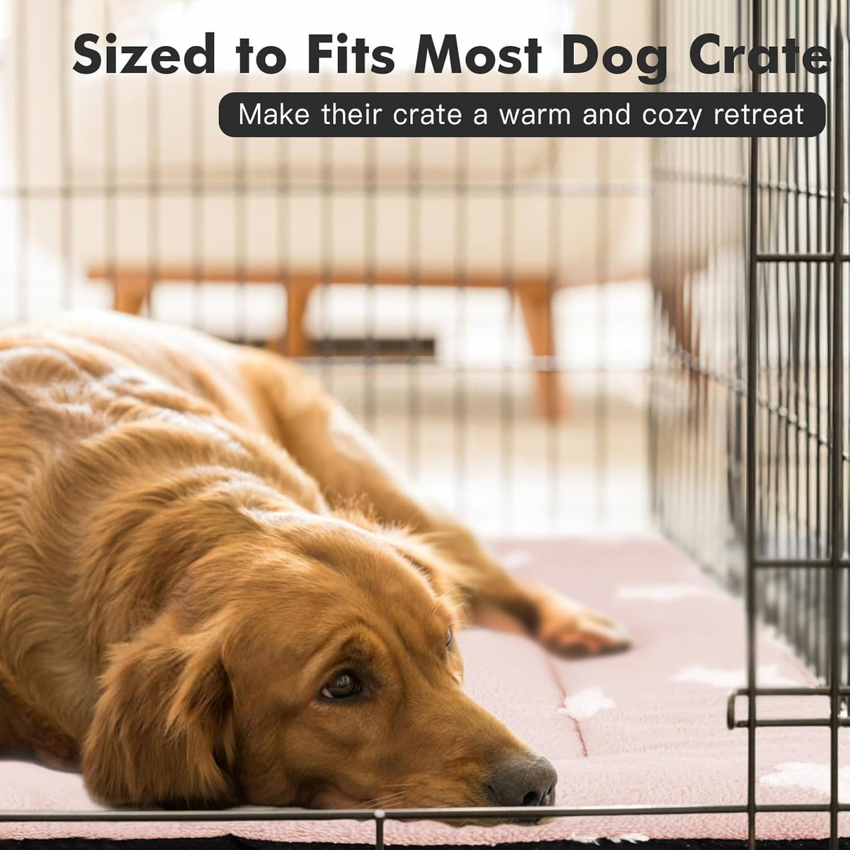 Mora Pets Dog Crate Pad Dog Kennel Bed Mat for Large Dogs Washable Cute Star Pet Bed for 36 inch