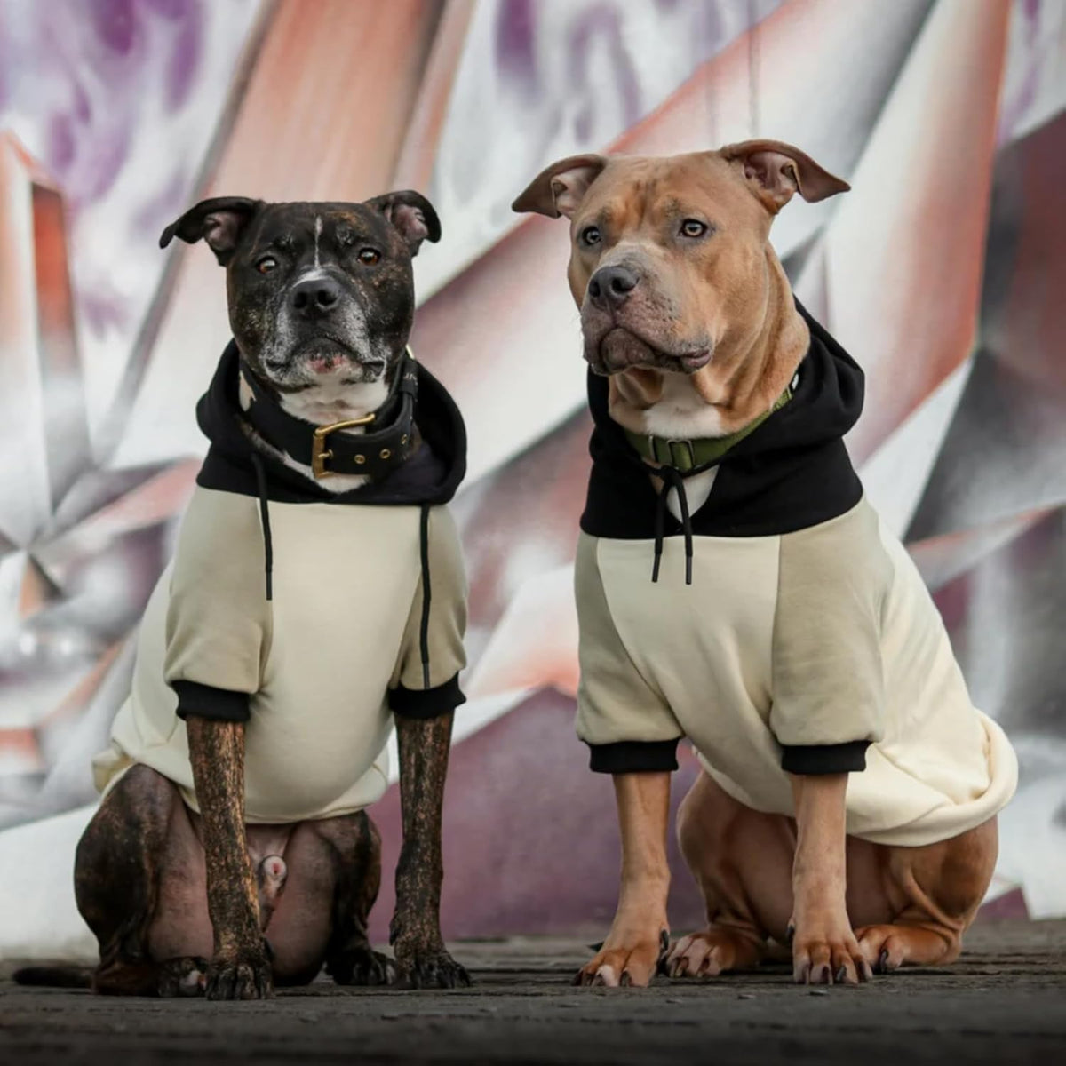 Spark Paws Dog Hoodie – Premium Dog Sweater for Small, Medium, and Large Dogs | Warm Outfits for