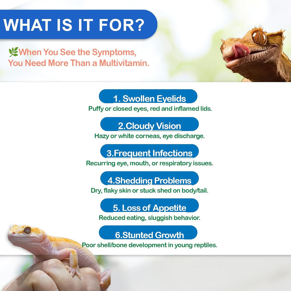 Reptile Vitamin A Supplement – Eye Health Support for Lizards, Turtles, Snakes & Amphibians