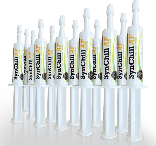 SynChill AF Calming Gel for Nervous Horses - Single Serving - Advanced Formula with L-Theanine