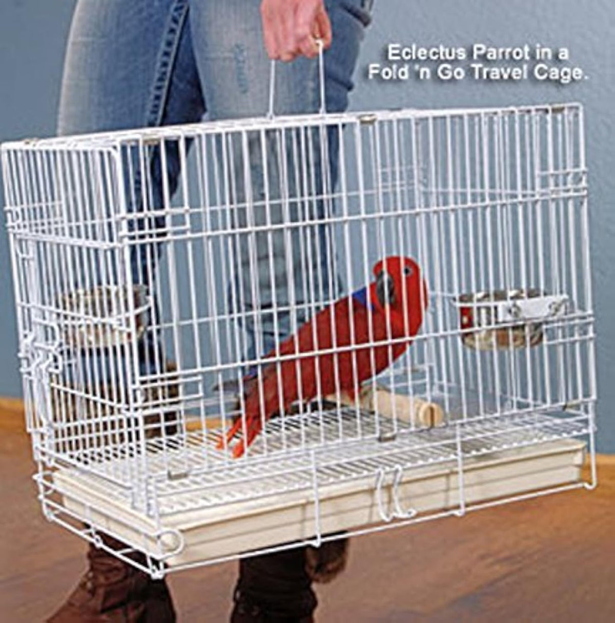 Durable Easy Portable Metal Travel or Veterinary Collapsable Parrot Bird Carrier Beaks Proof Cage