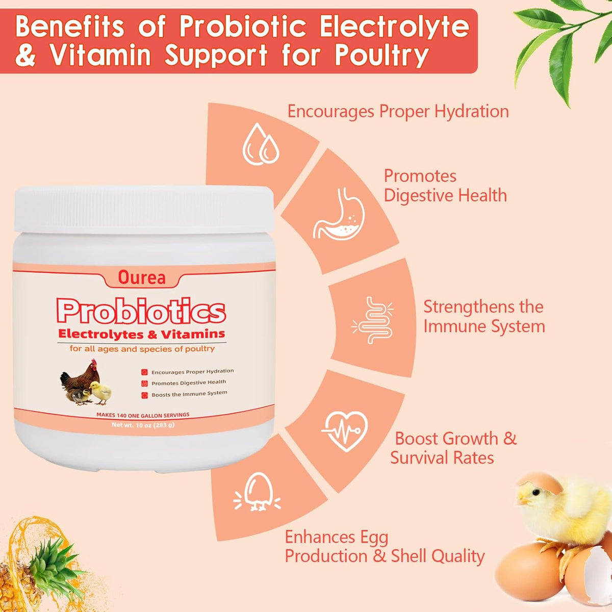 Chicken Electrolyte, Vitamin & Probiotic Supplement - Support Hydration Digestion Immunity Egg