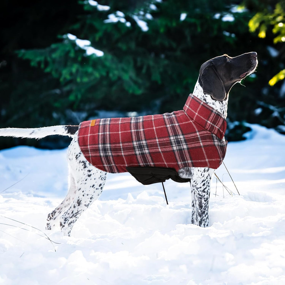 Kuoser Waterproof Dog Coat, Reversible Dog Jacket for Small Dogs, Adjustable Durable Doggie Winter
