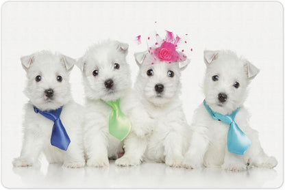 Lunarable Westie Pet Mat for Food and Water, Group of West Highland White Terrier Puppies on Plain