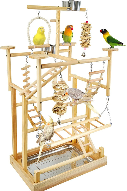 Bird Playground - Natural Wood Parrot Playstand with Perches, Bird Play Gym & Accessories