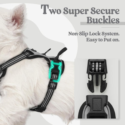 rabbitgoo Dog Harness No Pull with 2 Leash Clips, Adjustable Soft Padded, Reflective Oxford No