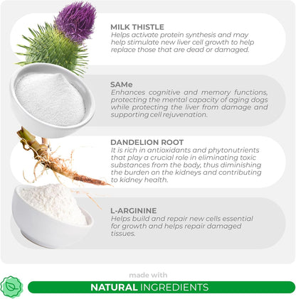 Milk Thistle for Cats - 4oz Powder - Natural Liver Supplement - with Same and L-Arginine - Detox