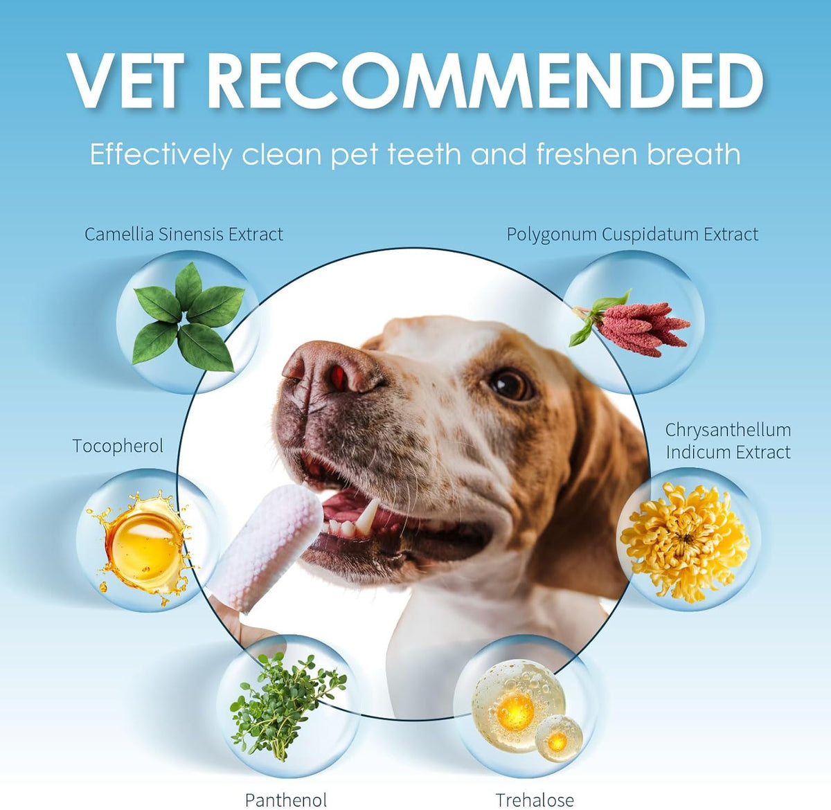 Mooncat Dental Finger Wipes for Dogs & Cats - Easy Teeth Cleaning to Remove Plaque, Tartar &