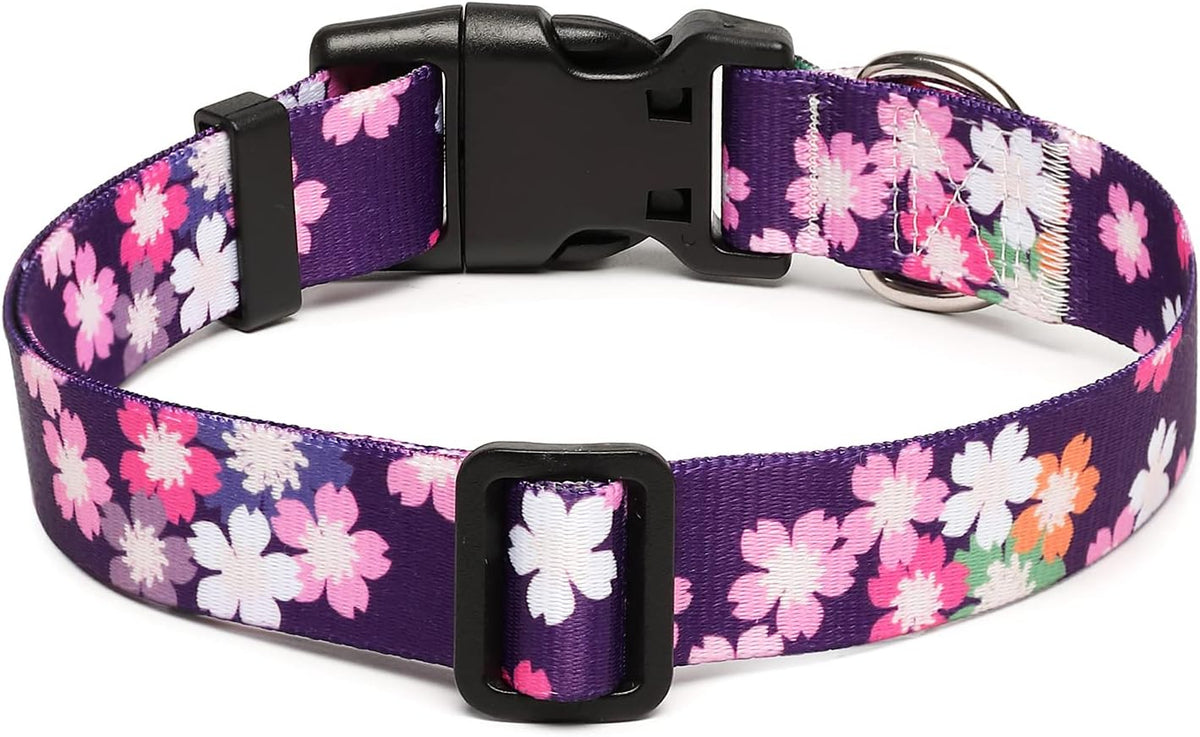 Mercano Adjustable Dog Collar - Special Design Patterns, Soft Nylon Comfortable Sturdy Pet Collar
