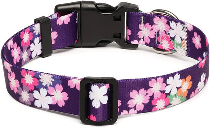 Mercano Adjustable Dog Collar - Special Design Patterns, Soft Nylon Comfortable Sturdy Pet Collar