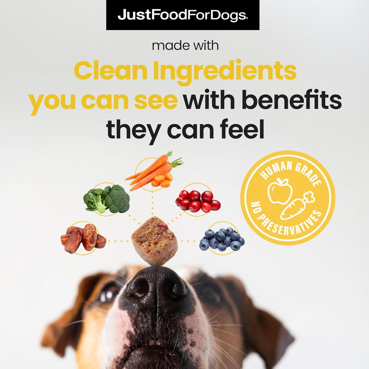 JustFoodForDogs Hip + Joint Soft Chews Mobility Supplement for Dogs with Glucosamine and