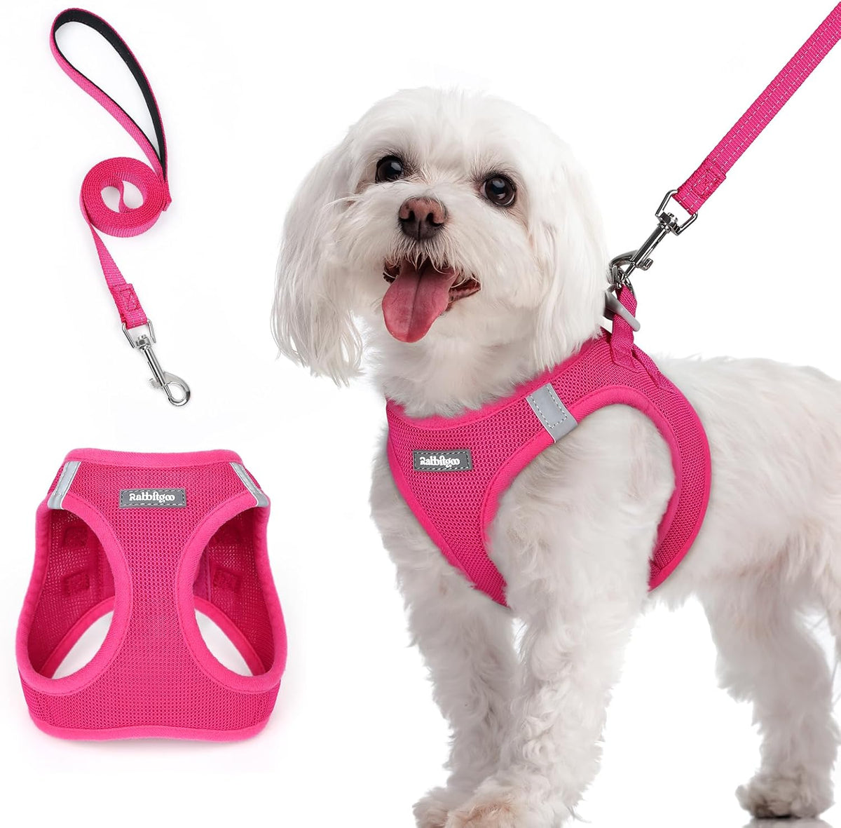 rabbitgoo Dog Harness Small Sized and Leash Set, Step in Soft Light Puppy Vest, Breathable Mesh Pet