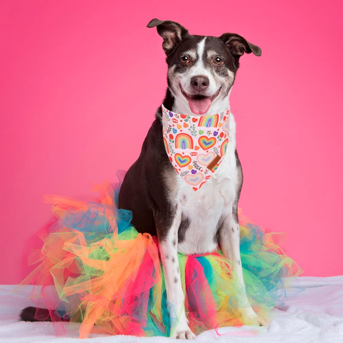 PTDECOR Rainbow Dog Bandanas Pride Day Dog Scarf Reversible Triangle LGBT+ Rainbow Bandanas for