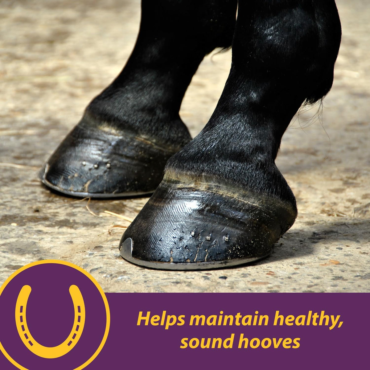 Horse Health Vita Biotin Crumbles horse hoof Supplement, Helps maintain healthy, sound hooves and