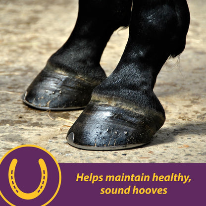 Horse Health Vita Biotin Crumbles horse hoof Supplement, Helps maintain healthy, sound hooves and