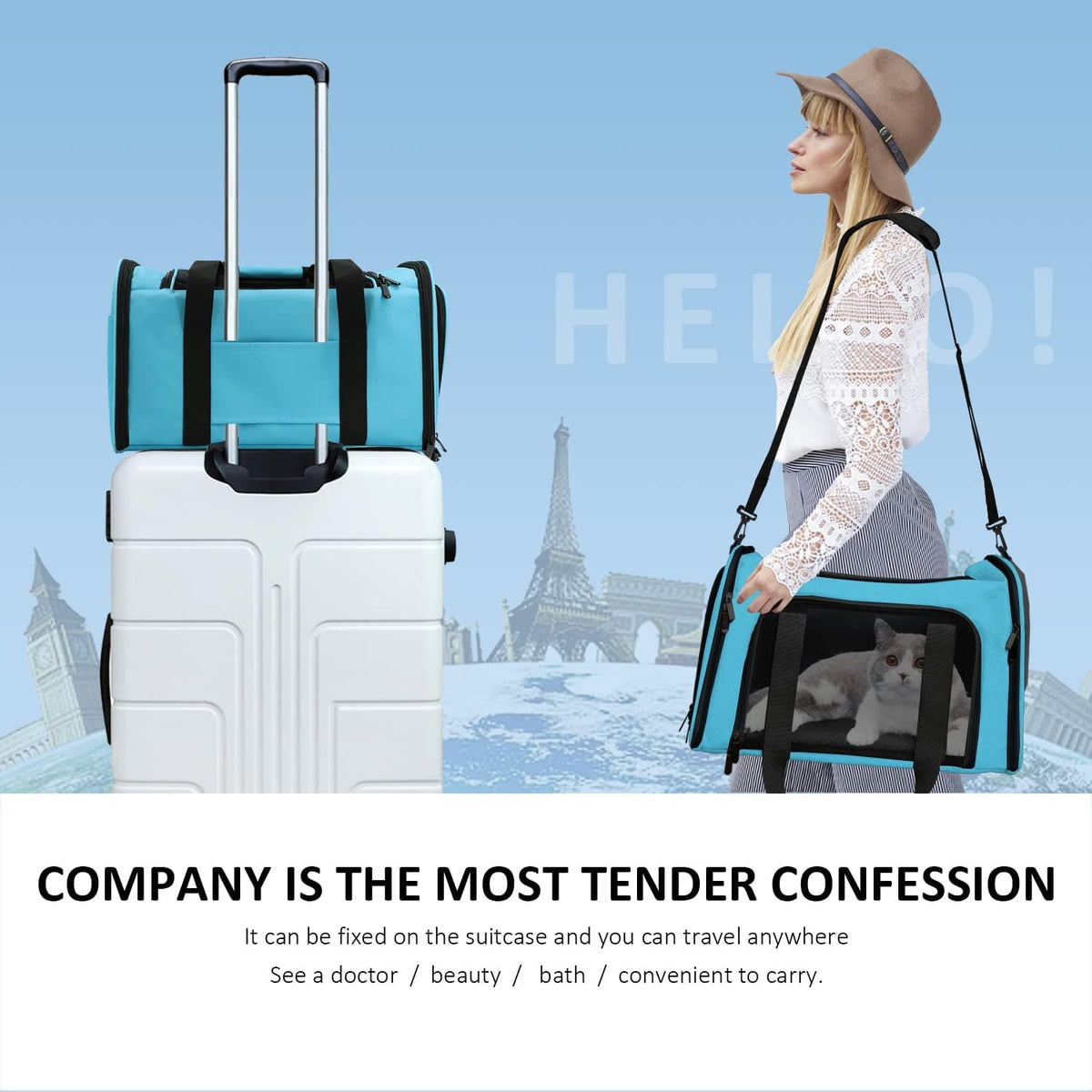 Pet Carrier for Small Medium Cats Puppies up to 15 Lbs, Airline Approved Small Dog Travel Puppy